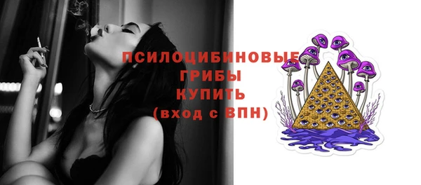 spice Вязьма