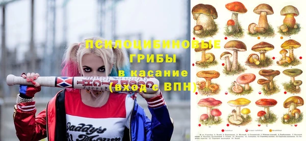 прущий лед Вязники