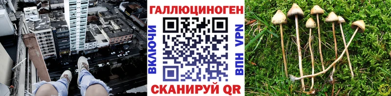 Галлюциногенные грибы MAGIC MUSHROOMS  Олёкминск 